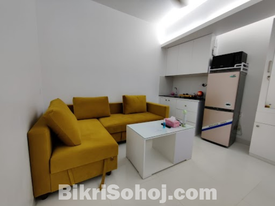 Two Room Furnished Serviced Apartment RENT